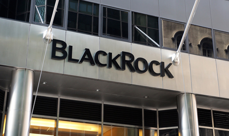 Le carton jaune du PDG de BlackRock aux entreprises Le carton jaune du PDG de BlackRock aux entreprises