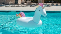 Bouée en forme de licorne dans une piscine